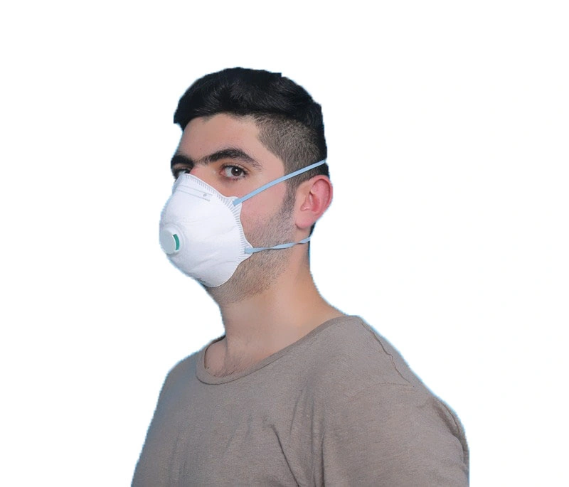 Anti Pollution and Dust Disposable FFP1 FFP2 Particulate Filtering Half Mask for Industrial Protection